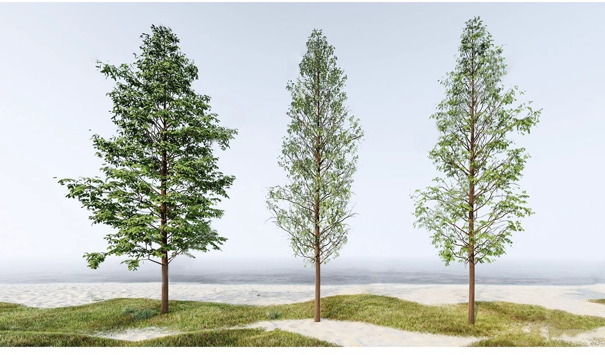 图片[16]-SU草图大师模型园林建筑室外景观树木乔木三维植物sketchup素材库-大怪兽分享