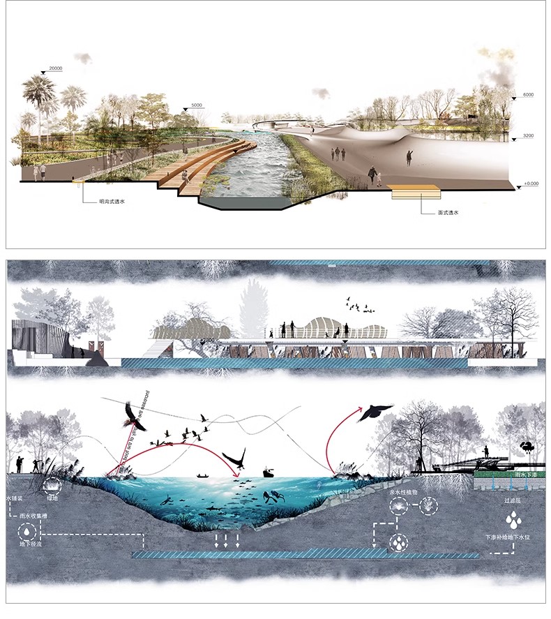 图片[12]-景观园林分析图PSD参考意向区位植物小场景内部剖面分析ps素材库-大怪兽分享