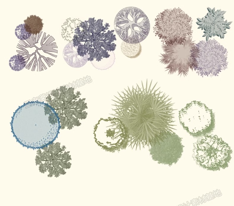 图片[17]-平面树植物ps笔刷小清新水彩树乔木灌木总平面图灰色彩平植物笔刷-大怪兽分享