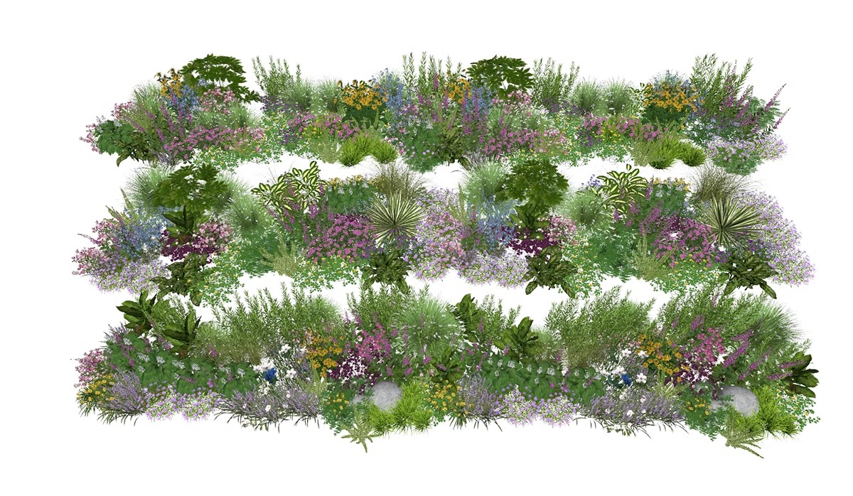 图片[15]-园林景观庭院植物三维真实花草树木乔木花卉灌木草图大师SU模型库-大怪兽分享