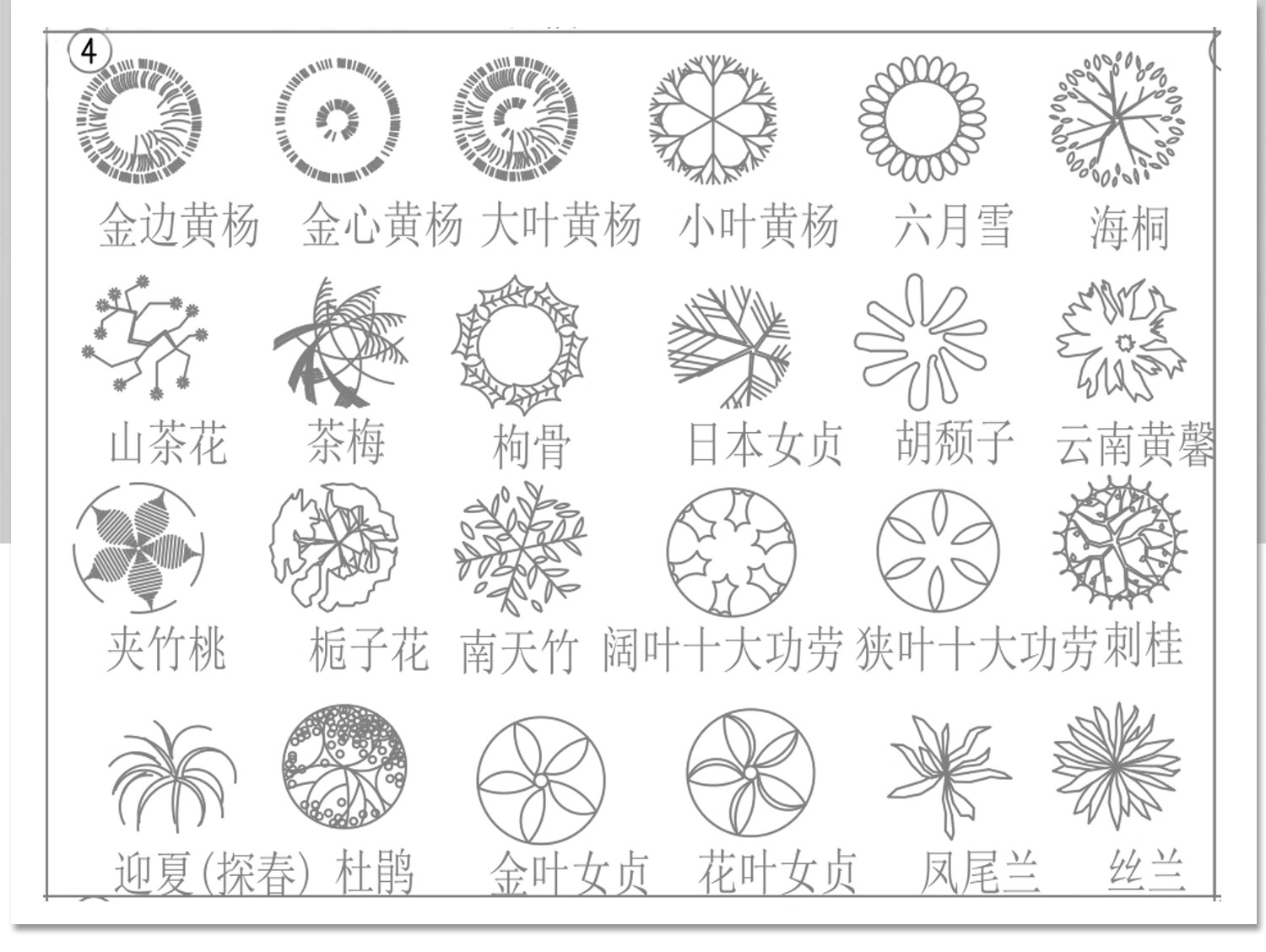 图片[16]-园林景观树木植物CAD施工图库 乔木绿草花灌木植物平面铺装素材块-大怪兽分享