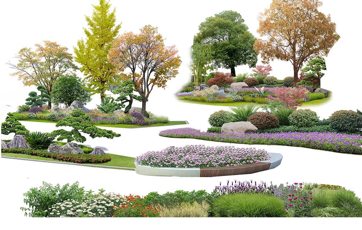 图片[17]-PS花镜花境灌木花丛组团设计组合花卉植物配置效果图psd免扣素材-大怪兽分享