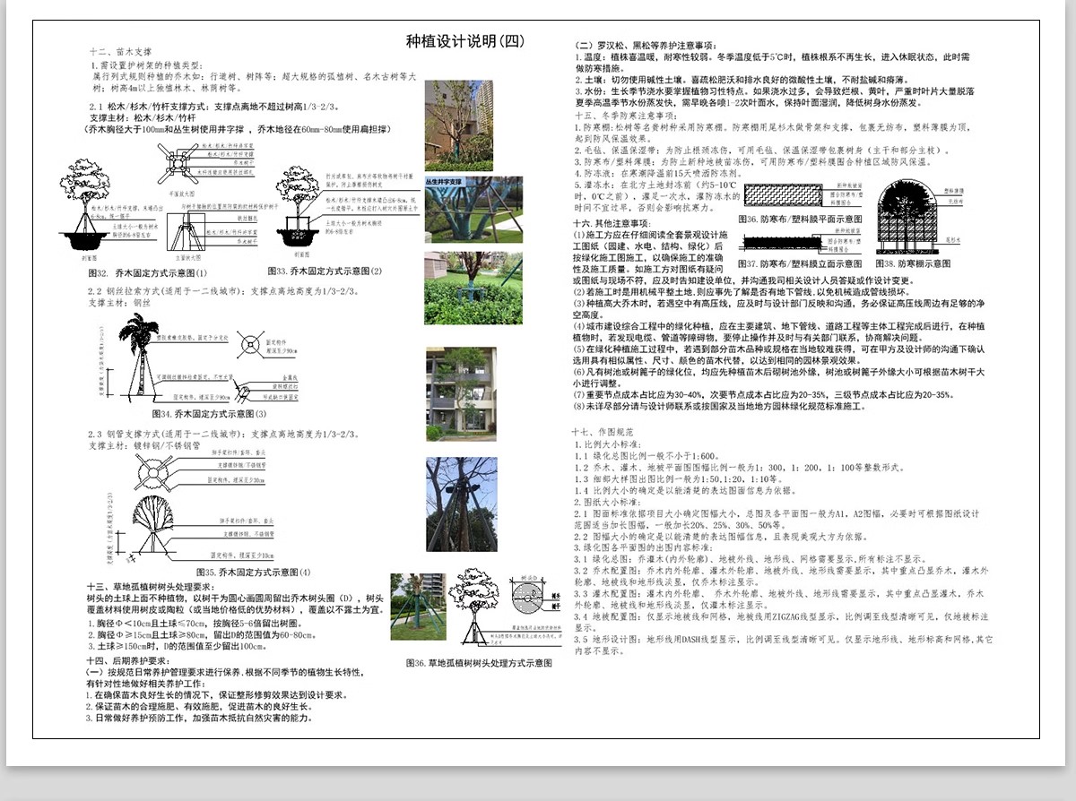 图片[17]-绿化植物种植CAD施工图 园林景观施工大样图详图设计说明图库素材-大怪兽分享