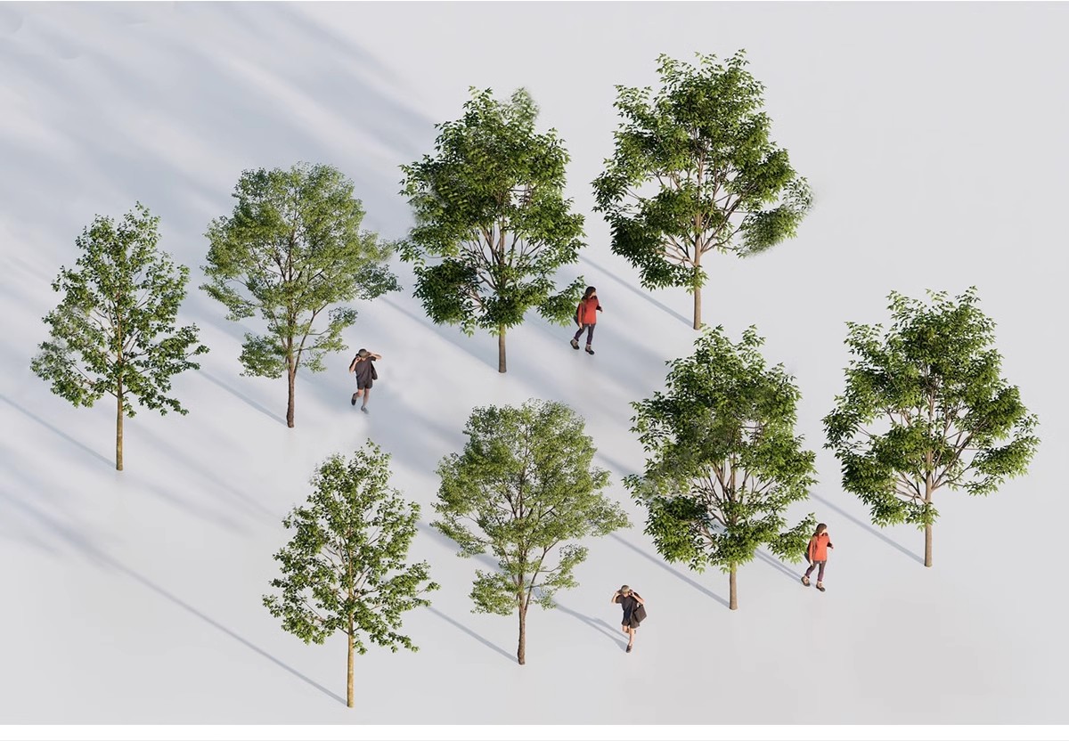 图片[17]-SU草图大师模型园林建筑室外景观树木乔木三维植物sketchup素材库-大怪兽分享