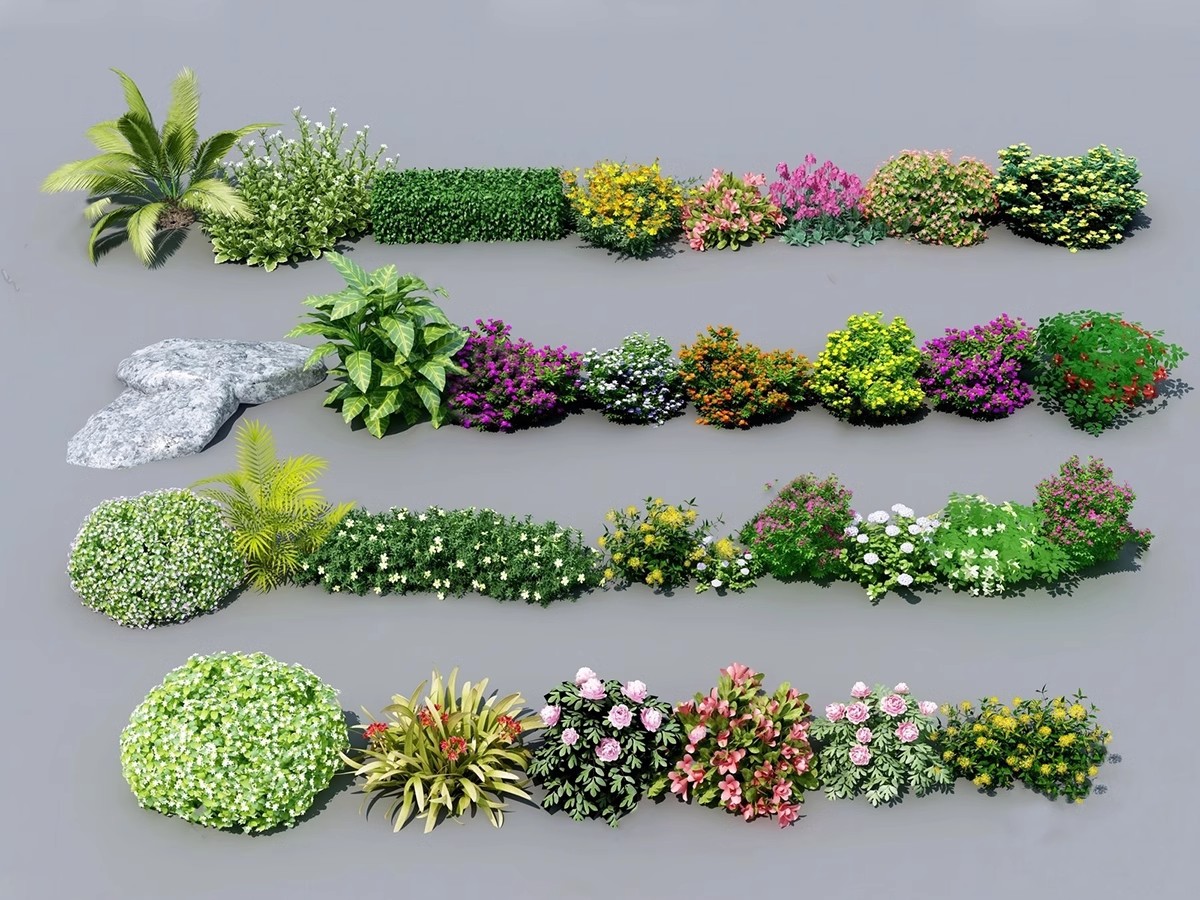 图片[16]-园林景观庭院植物三维真实花草树木乔木花卉灌木草图大师SU模型库-大怪兽分享