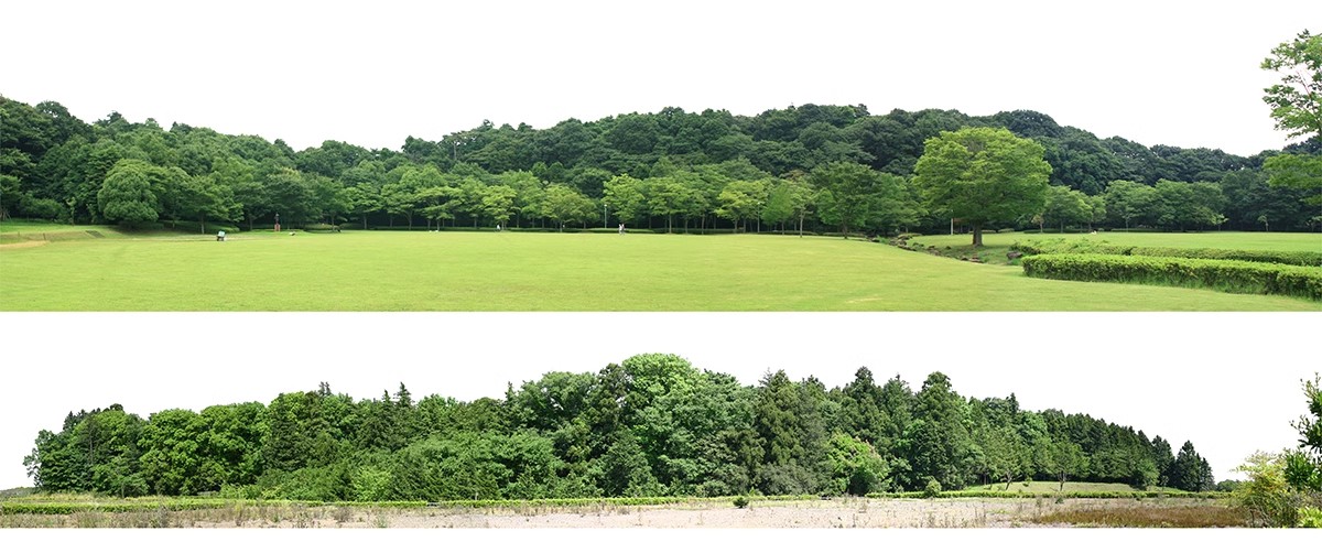 图片[18]-远景山背景植物树木ps素材 树林丛林配景树园林景观效果图psd免抠-大怪兽分享