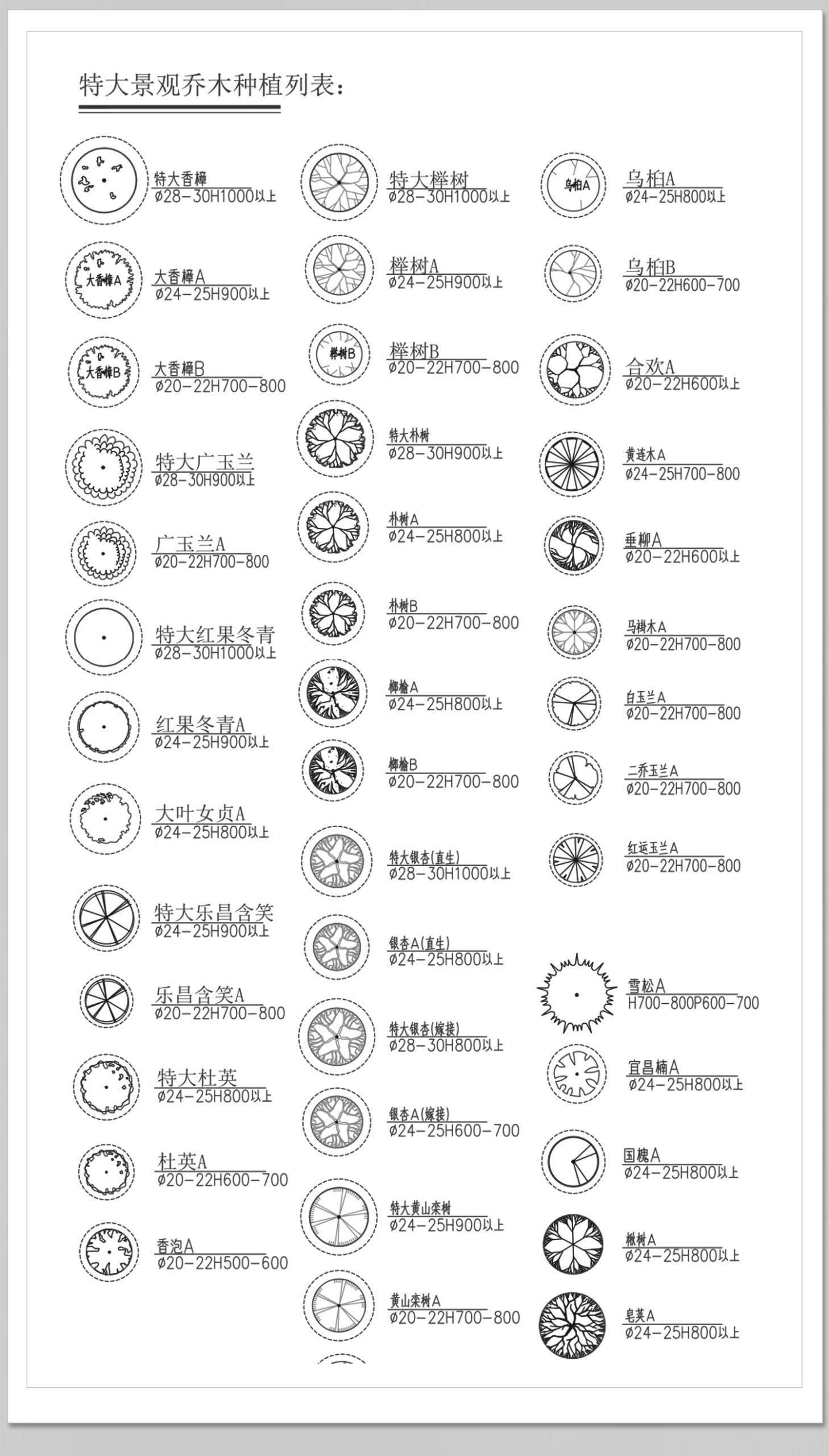 图片[17]-园林景观树木植物CAD施工图库 乔木绿草花灌木植物平面铺装素材块-大怪兽分享