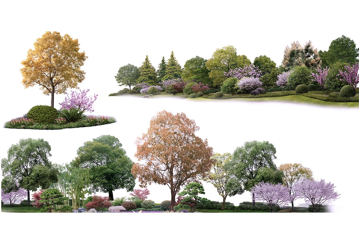 图片[18]-PS花镜花境灌木花丛组团设计组合花卉植物配置效果图psd免扣素材-大怪兽分享