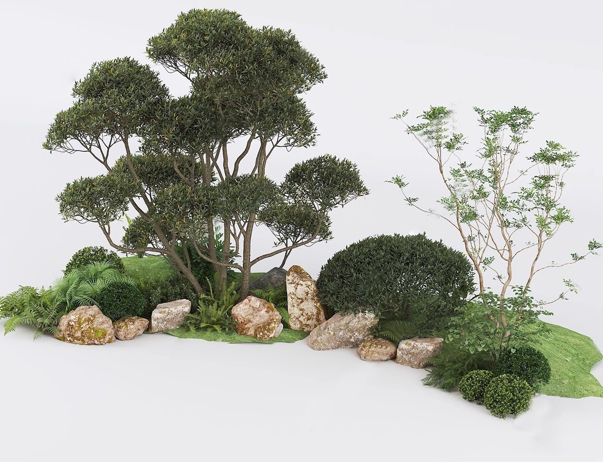 图片[18]-SU草图大师模型园林建筑室外景观树木乔木三维植物sketchup素材库-大怪兽分享