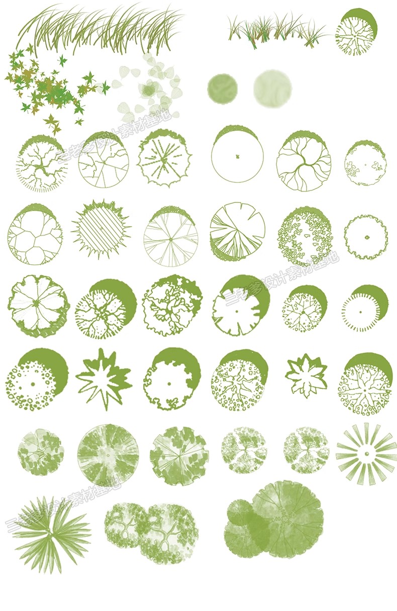 图片[19]-平面树植物ps笔刷小清新水彩树乔木灌木总平面图灰色彩平植物笔刷-大怪兽分享