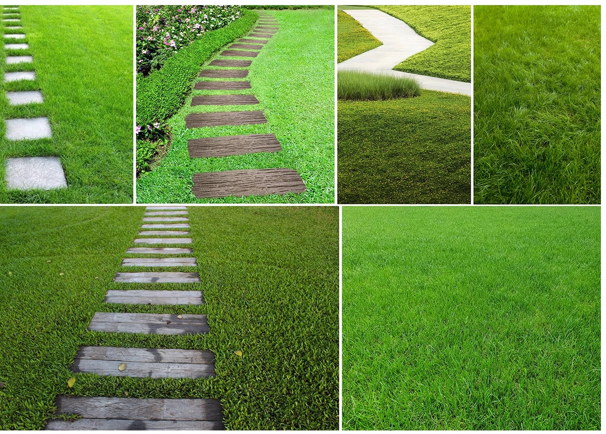 图片[19]-汀步平面彩平图psd素材公园庭院效果踏步石园林小路青石板PS拼贴-大怪兽分享