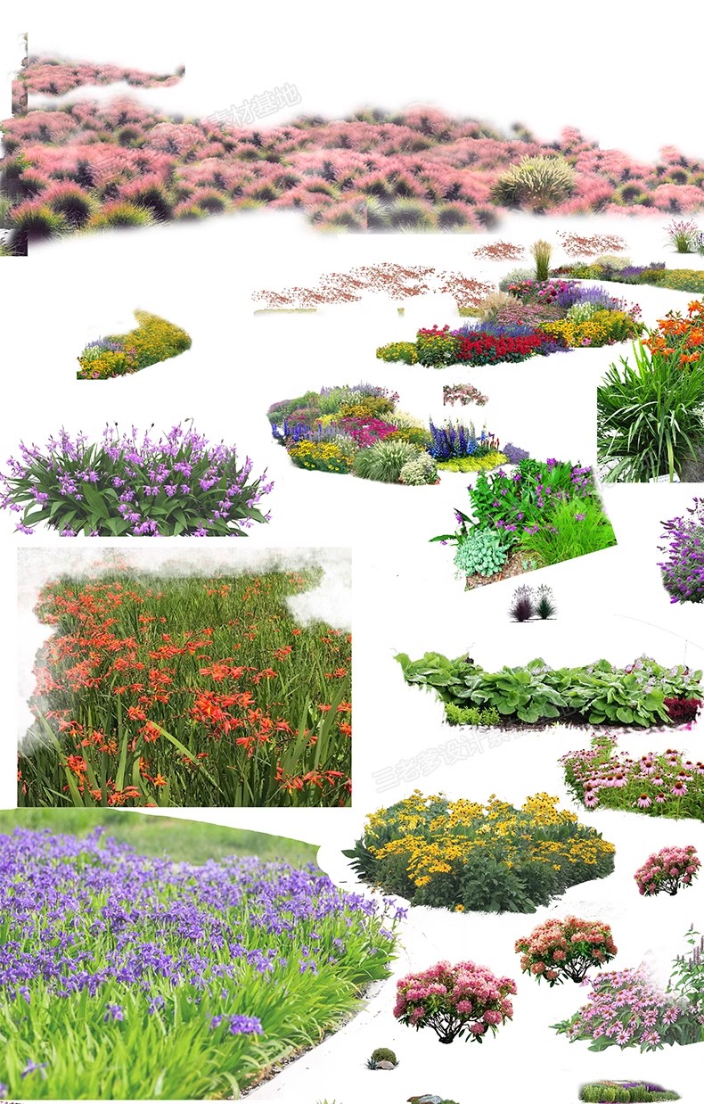 图片[19]-PS花镜花境灌木花丛组团设计组合花卉植物配置效果图psd免扣素材-大怪兽分享