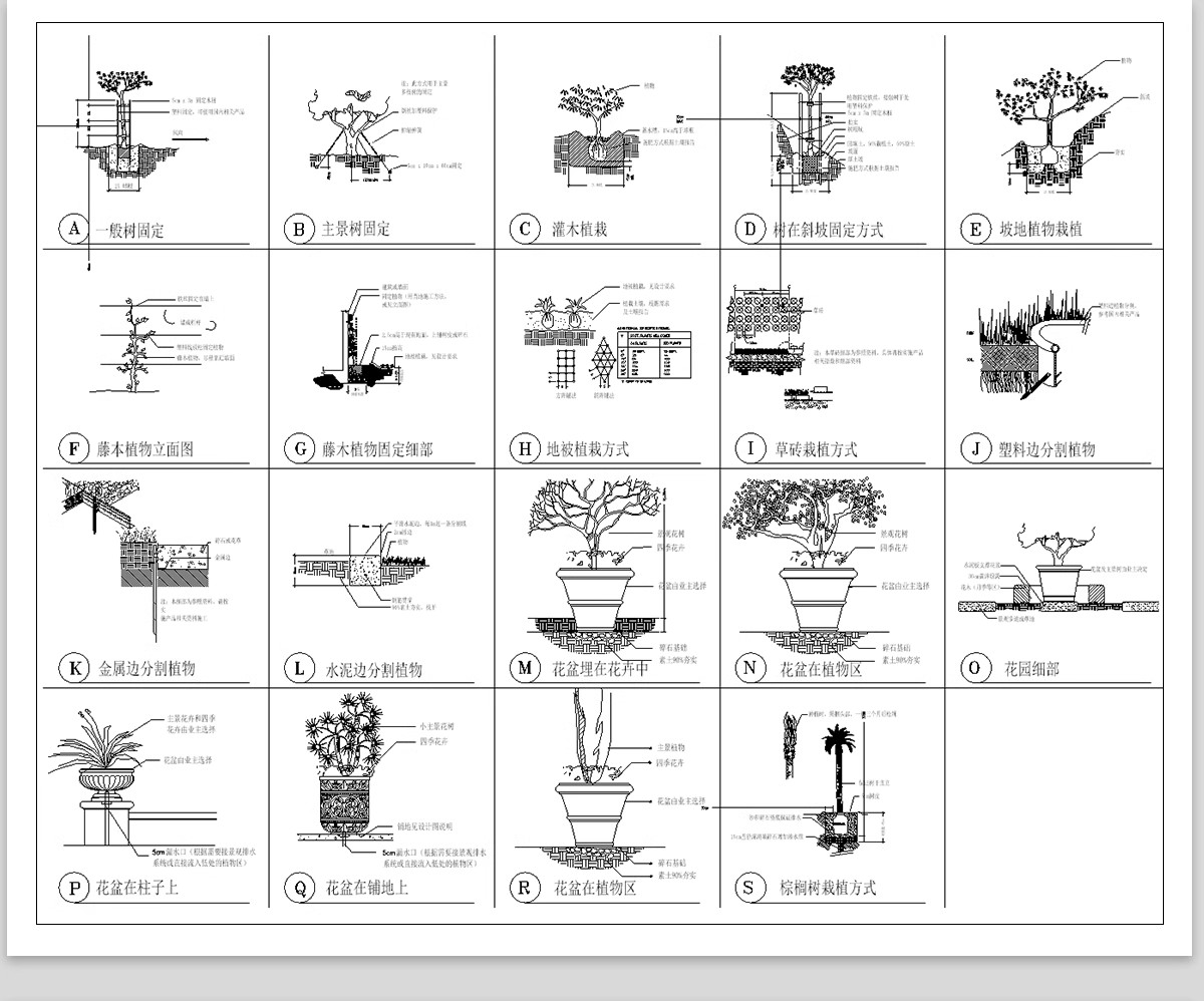 图片[19]-绿化植物种植CAD施工图 园林景观施工大样图详图设计说明图库素材-大怪兽分享