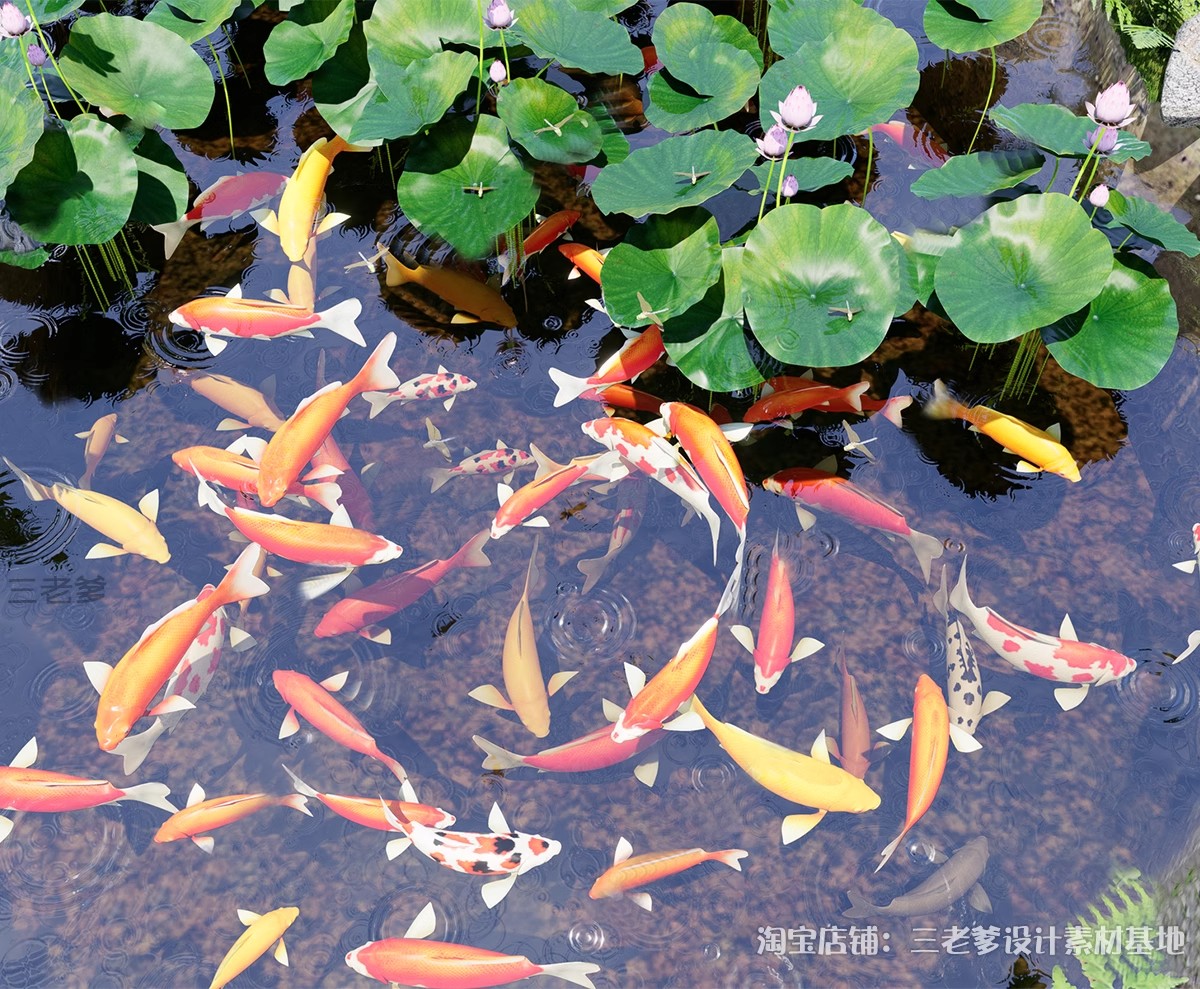 图片[20]-庭院花园鱼池su模型锦鲤园林私家水景假山鱼缸水族箱金鱼草图大师-大怪兽分享
