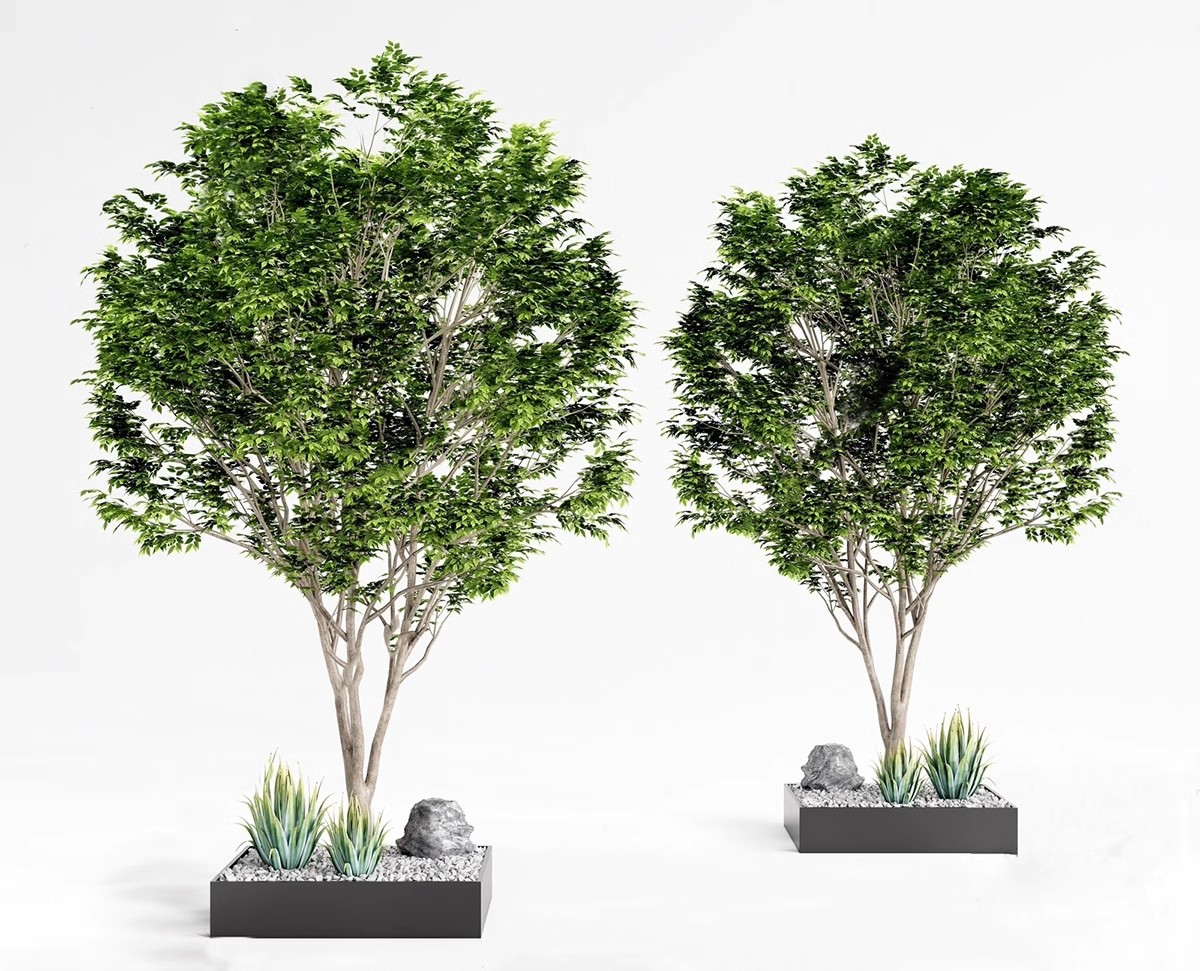 图片[17]-园林景观庭院植物三维真实花草树木乔木花卉灌木草图大师SU模型库-大怪兽分享