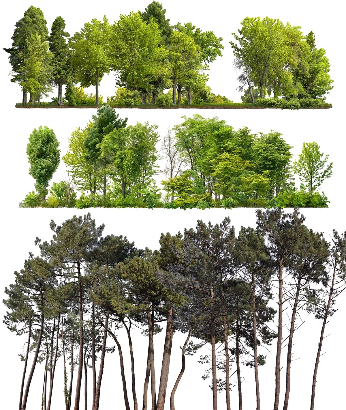 图片[20]-远景山背景植物树木ps素材 树林丛林配景树园林景观效果图psd免抠-大怪兽分享