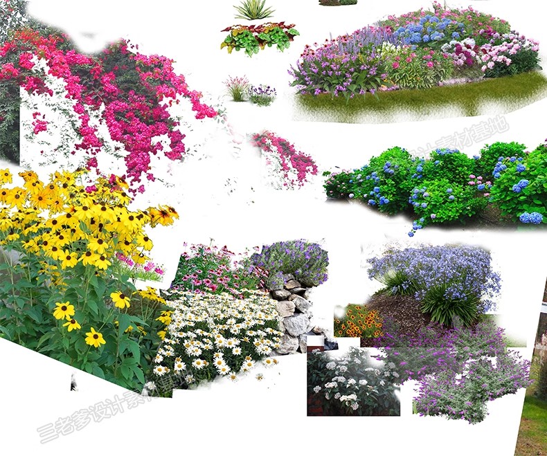 图片[20]-PS花镜花境灌木花丛组团设计组合花卉植物配置效果图psd免扣素材-大怪兽分享