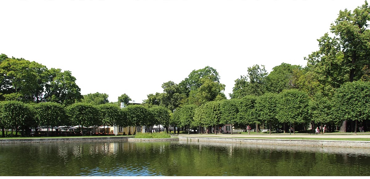 图片[21]-远景山背景植物树木ps素材 树林丛林配景树园林景观效果图psd免抠-大怪兽分享