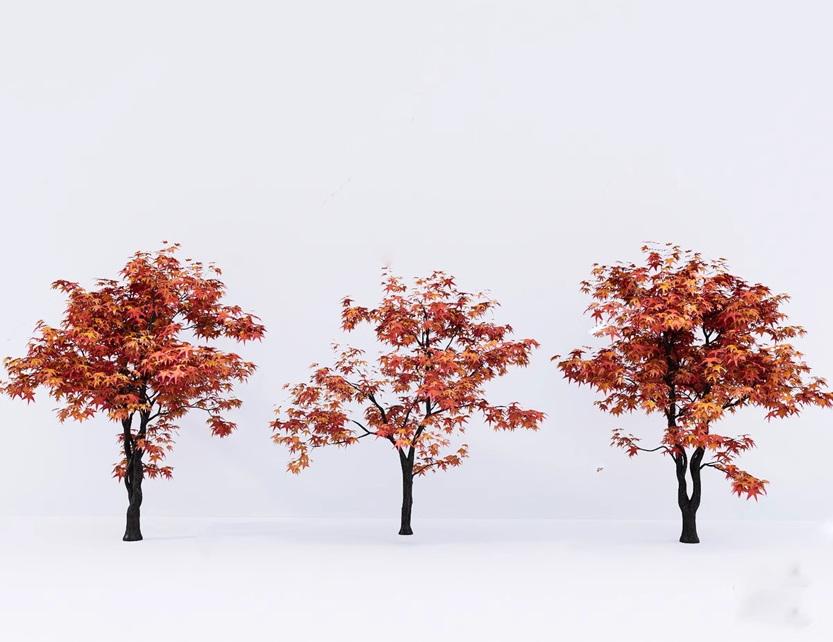 图片[21]-SU草图大师模型园林建筑室外景观树木乔木三维植物sketchup素材库-大怪兽分享