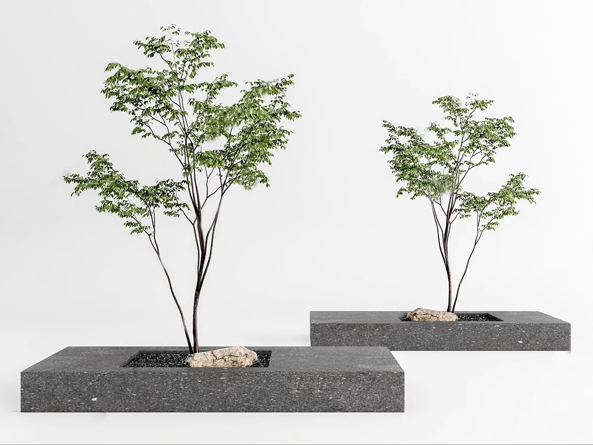 图片[18]-园林景观庭院植物三维真实花草树木乔木花卉灌木草图大师SU模型库-大怪兽分享