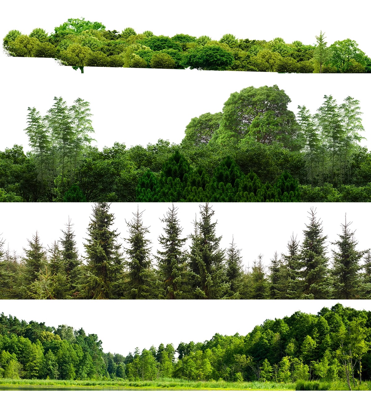 图片[22]-远景山背景植物树木ps素材 树林丛林配景树园林景观效果图psd免抠-大怪兽分享