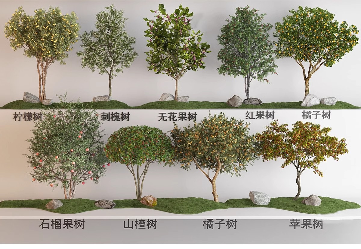 图片[22]-SU草图大师模型园林建筑室外景观树木乔木三维植物sketchup素材库-大怪兽分享