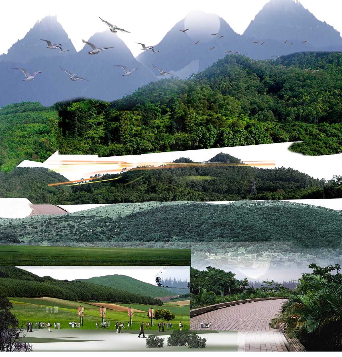 图片[23]-远景山背景植物树木ps素材 树林丛林配景树园林景观效果图psd免抠-大怪兽分享