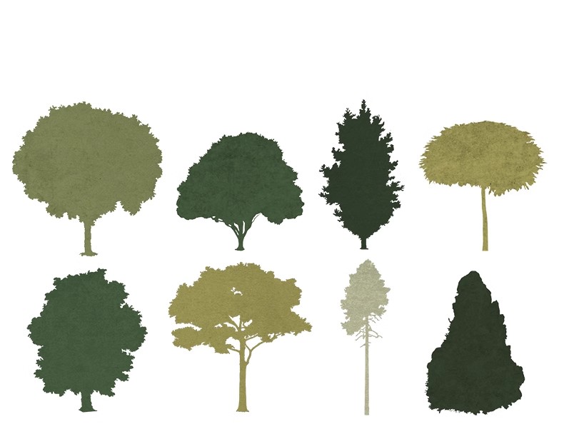 图片[23]-绿色纹理树PS素材竞赛风拼贴风小清新简约绿地鸟瞰轴测PSD文件PNG-大怪兽分享