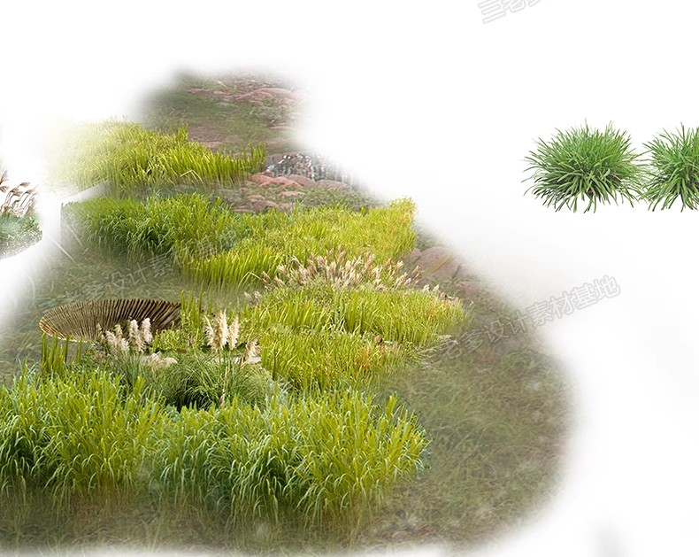 图片[23]-PS花镜花境灌木花丛组团设计组合花卉植物配置效果图psd免扣素材-大怪兽分享