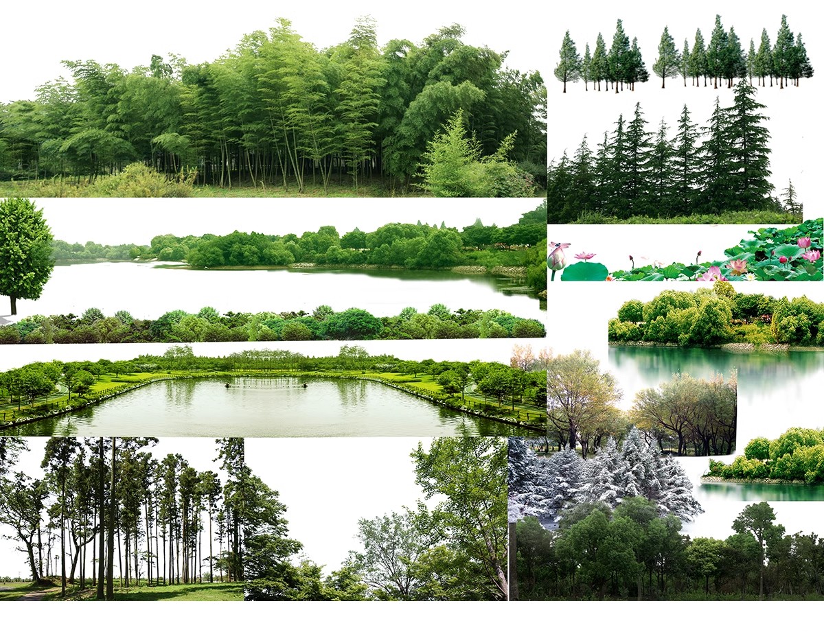 图片[24]-远景山背景植物树木ps素材 树林丛林配景树园林景观效果图psd免抠-大怪兽分享