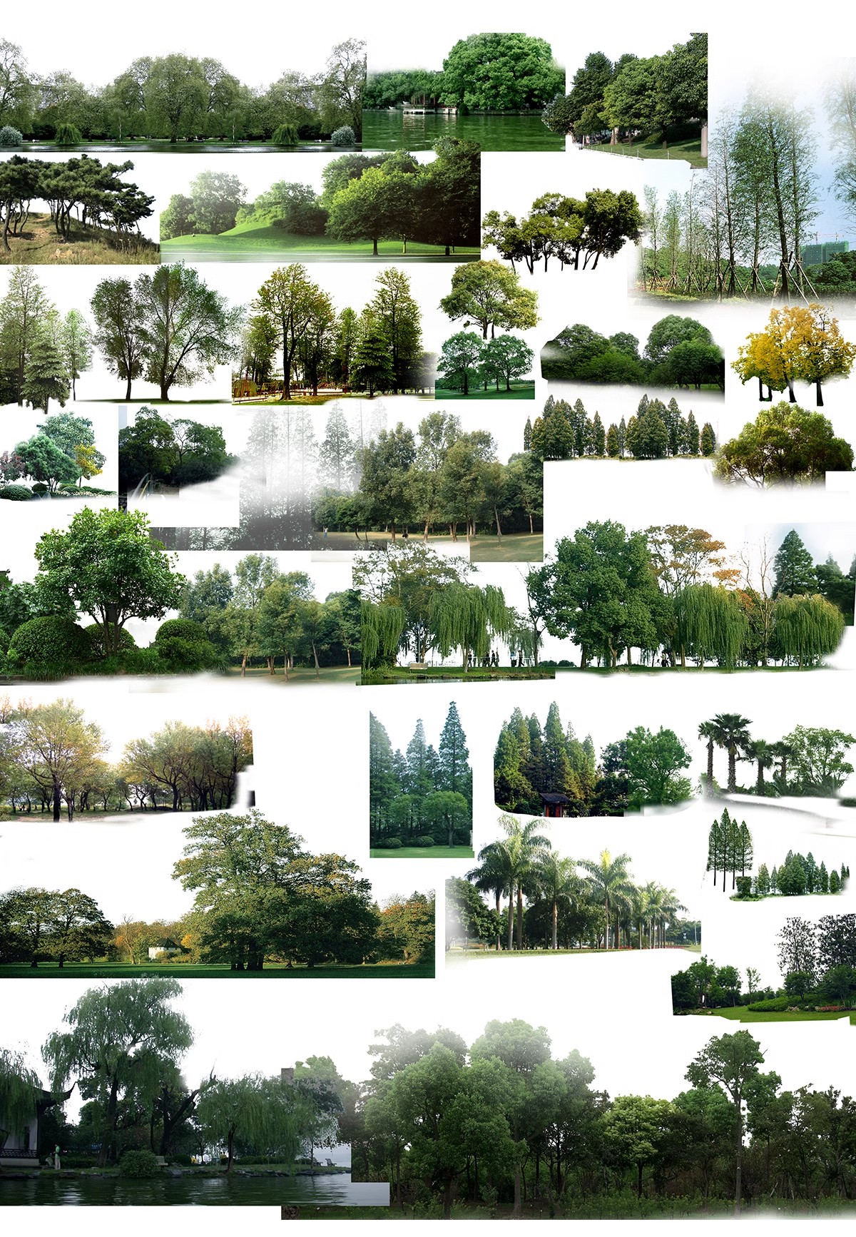 图片[25]-远景山背景植物树木ps素材 树林丛林配景树园林景观效果图psd免抠-大怪兽分享