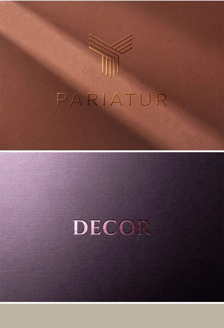 图片[8]-YJ-401企业LOGO品牌标志效果展示提案烫金压痕贴图样机PSD素材图-大怪兽分享