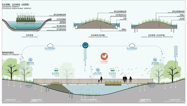 图片[25]-建筑空间生态场地气候日照明光照通风ps分析图PSD分层素材AI矢量-大怪兽分享