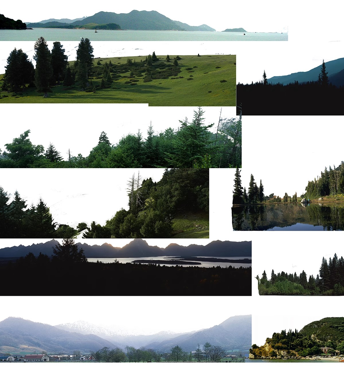 图片[26]-远景山背景植物树木ps素材 树林丛林配景树园林景观效果图psd免抠-大怪兽分享