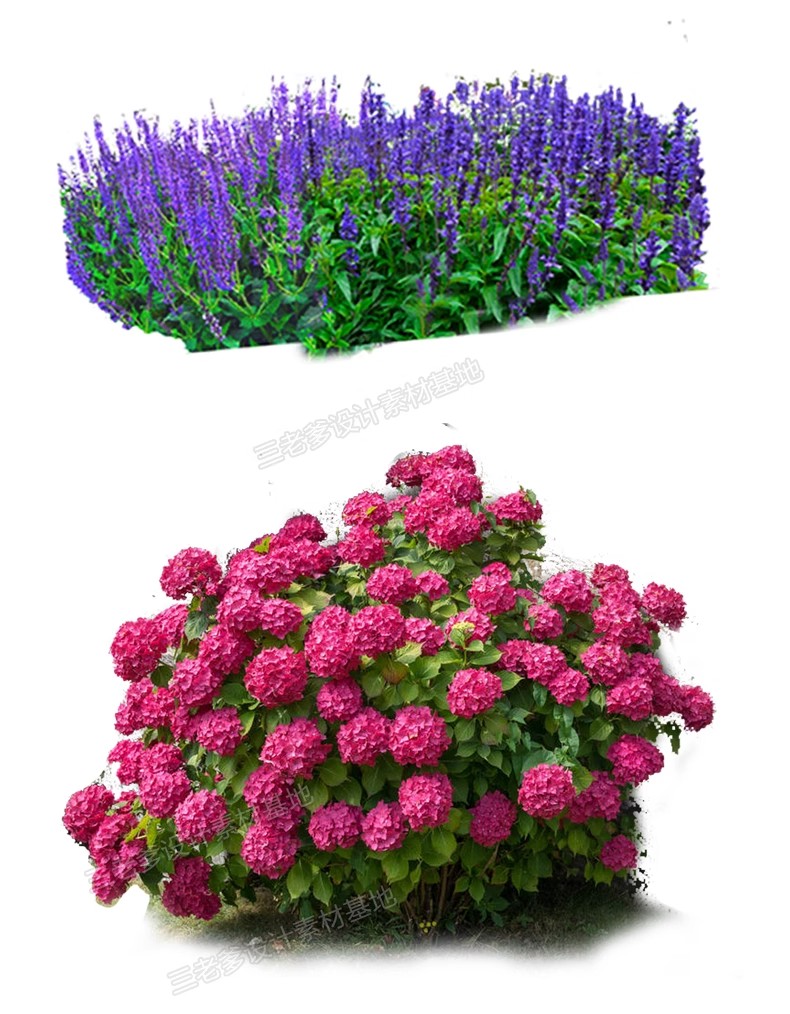 图片[26]-PS花镜花境灌木花丛组团设计组合花卉植物配置效果图psd免扣素材-大怪兽分享