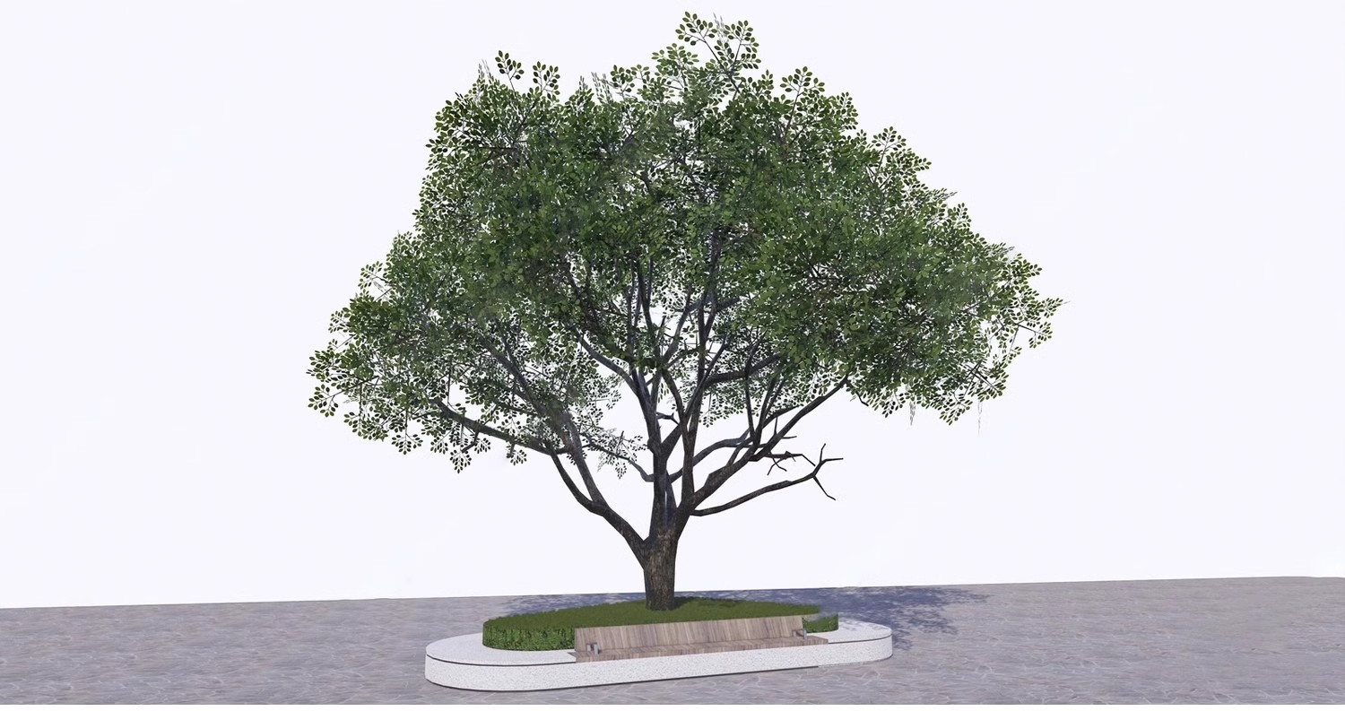 图片[26]-SU草图大师模型园林建筑室外景观树木乔木三维植物sketchup素材库-大怪兽分享