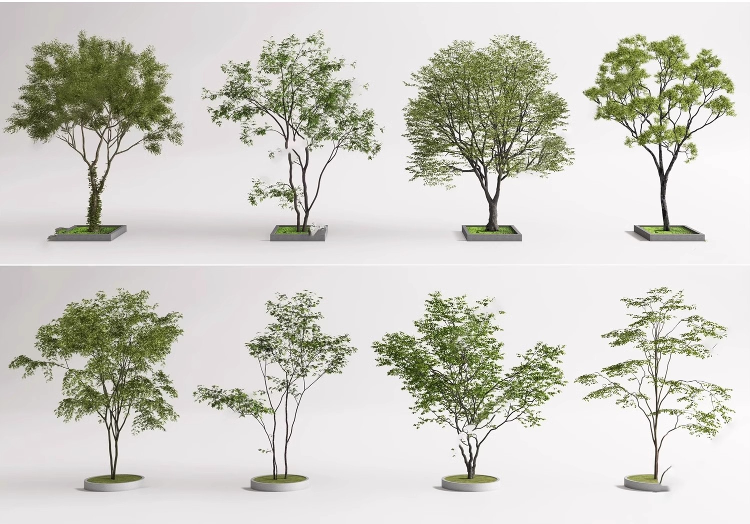 图片[28]-SU草图大师模型园林建筑室外景观树木乔木三维植物sketchup素材库-大怪兽分享