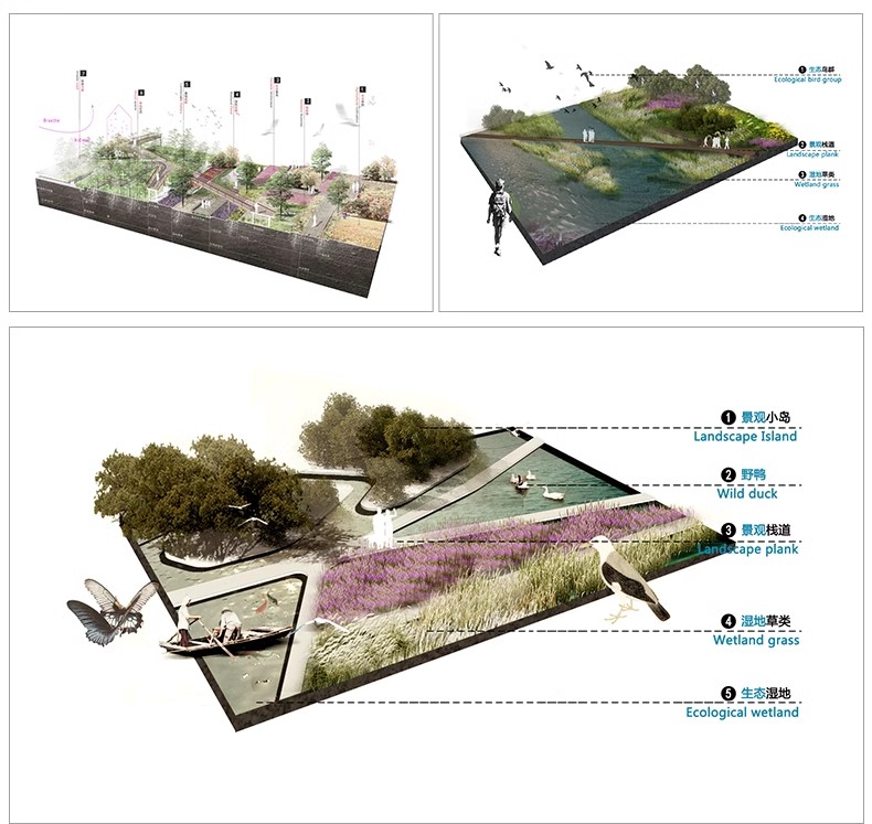 图片[20]-景观园林分析图PSD参考意向区位植物小场景内部剖面分析ps素材库-大怪兽分享