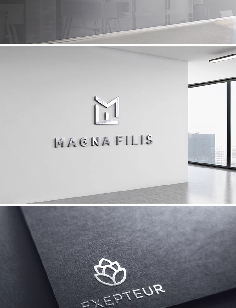 图片[12]-YJ-401企业LOGO品牌标志效果展示提案烫金压痕贴图样机PSD素材图-大怪兽分享