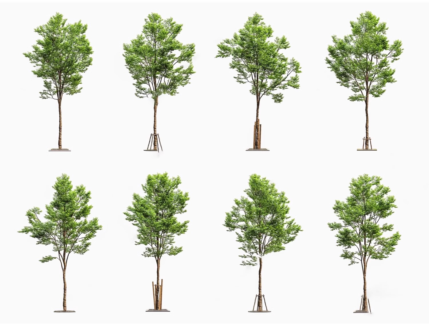 图片[29]-SU草图大师模型园林建筑室外景观树木乔木三维植物sketchup素材库-大怪兽分享