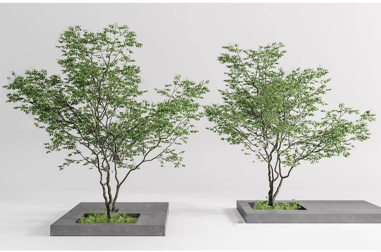 图片[30]-SU草图大师模型园林建筑室外景观树木乔木三维植物sketchup素材库-大怪兽分享