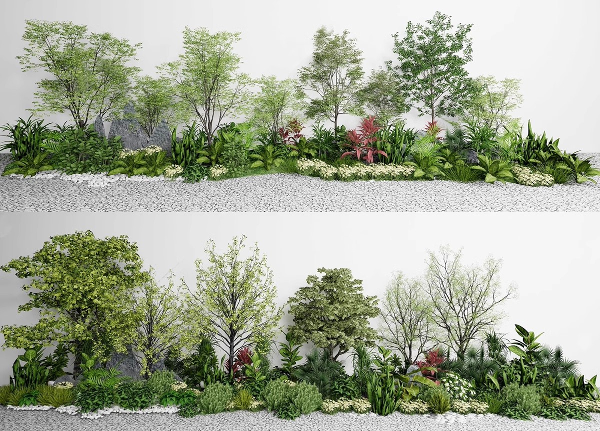 图片[22]-园林景观庭院植物三维真实花草树木乔木花卉灌木草图大师SU模型库-大怪兽分享