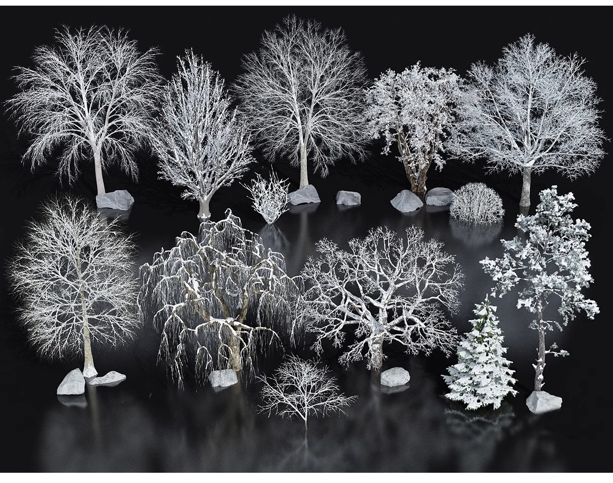图片[31]-SU草图大师模型园林建筑室外景观树木乔木三维植物sketchup素材库-大怪兽分享