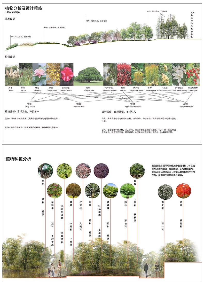 图片[22]-景观园林分析图PSD参考意向区位植物小场景内部剖面分析ps素材库-大怪兽分享