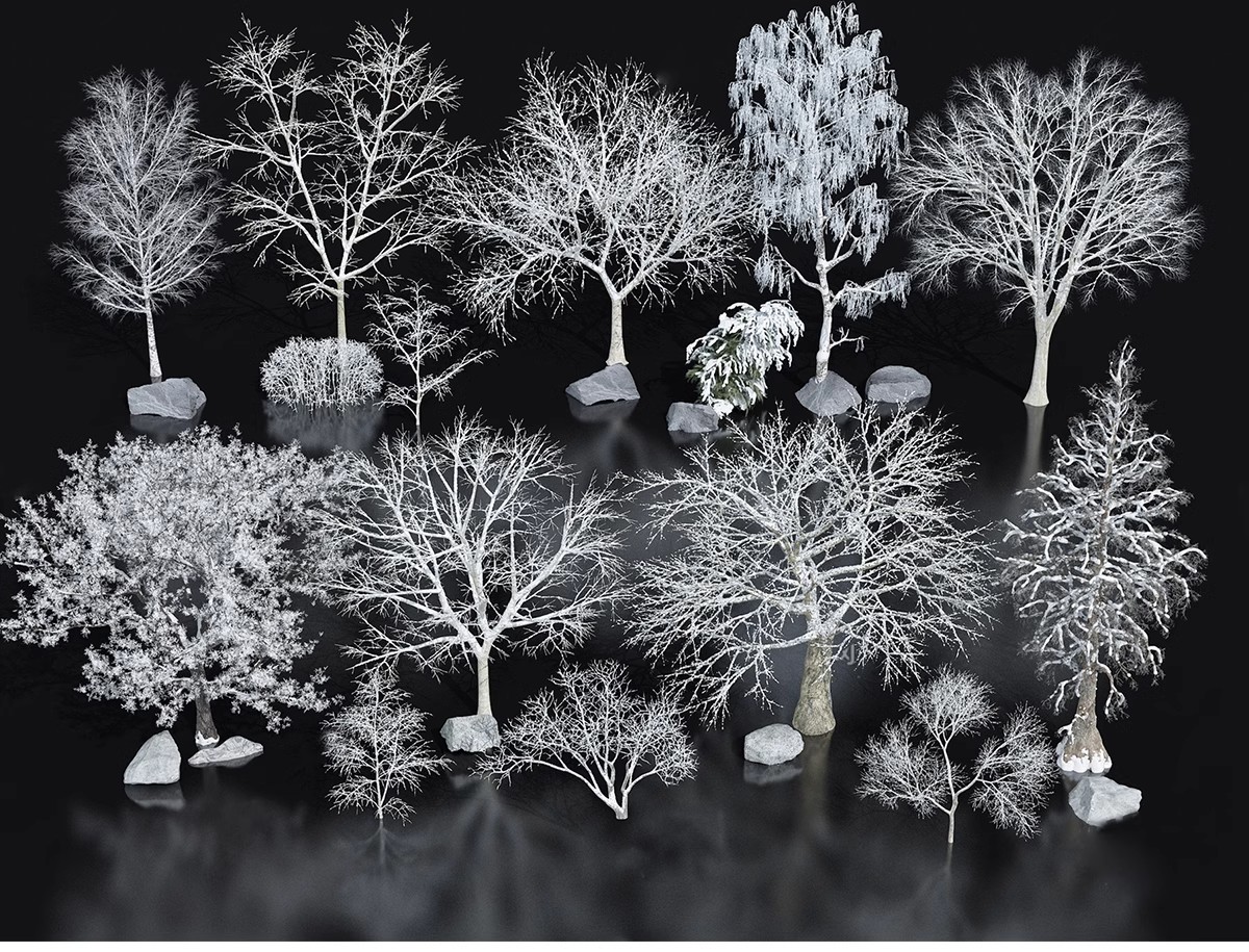 图片[32]-SU草图大师模型园林建筑室外景观树木乔木三维植物sketchup素材库-大怪兽分享