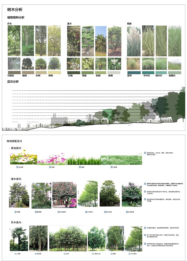 图片[23]-景观园林分析图PSD参考意向区位植物小场景内部剖面分析ps素材库-大怪兽分享