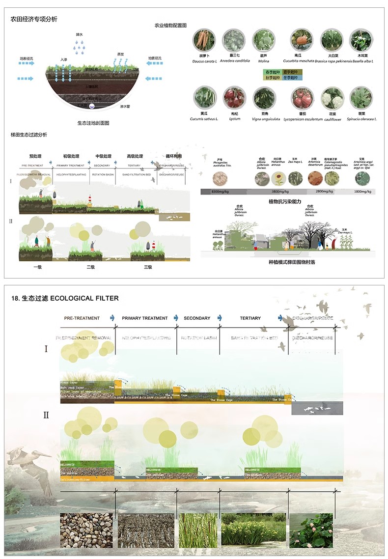 图片[24]-景观园林分析图PSD参考意向区位植物小场景内部剖面分析ps素材库-大怪兽分享