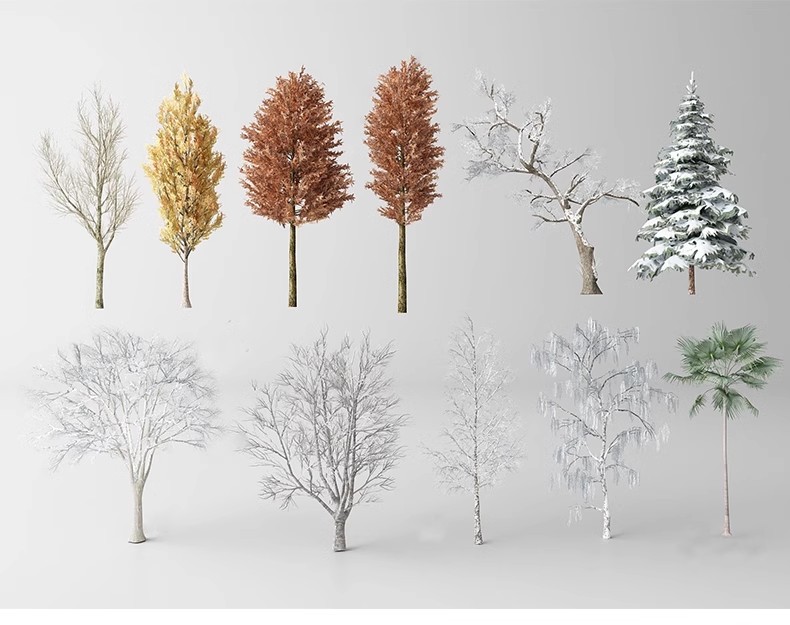 图片[24]-园林景观庭院植物三维真实花草树木乔木花卉灌木草图大师SU模型库-大怪兽分享