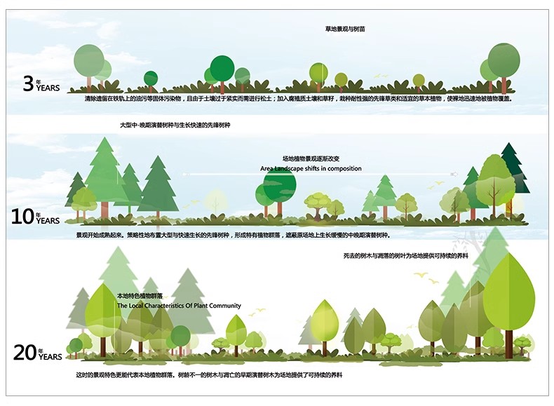图片[25]-景观园林分析图PSD参考意向区位植物小场景内部剖面分析ps素材库-大怪兽分享