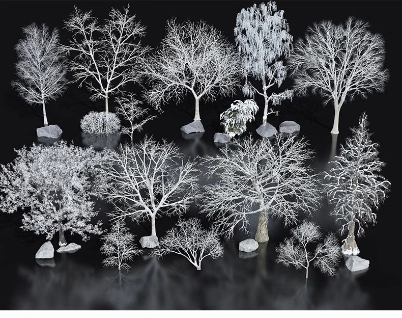 图片[25]-园林景观庭院植物三维真实花草树木乔木花卉灌木草图大师SU模型库-大怪兽分享